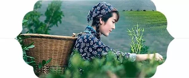 微信图片_20190408064824.jpg 微信图片_20190408064824.jpg